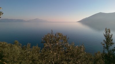 Φωτογραφία Πτελεού