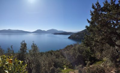 Φωτογραφία Πτελεού