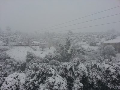 Φωτογραφία Πτελεού